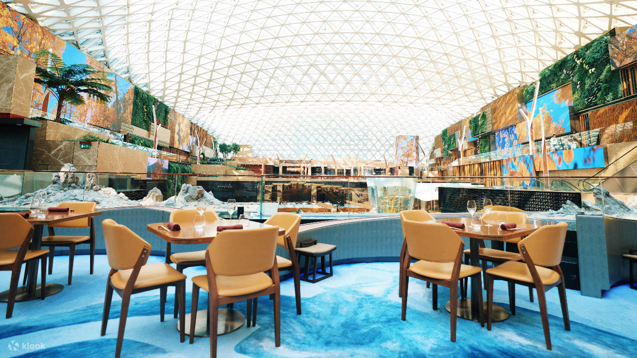 美獅美高梅 | 雅吉